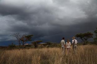 ת'אבזימבי Makweti Safari Lodge מראה חיצוני תמונה